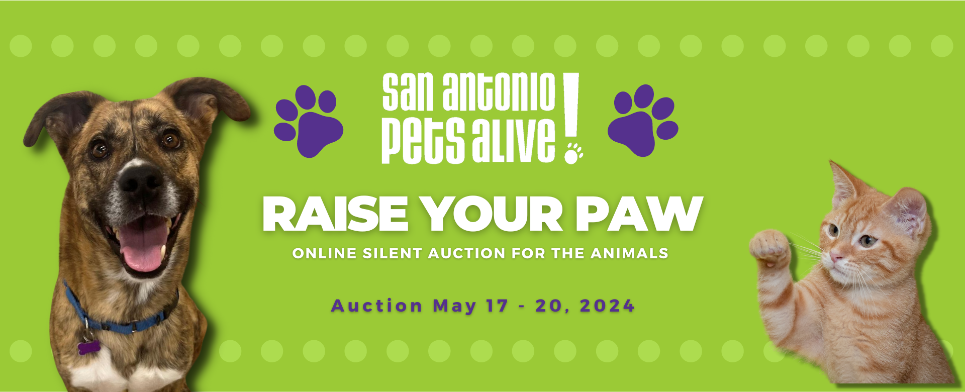 Raise Your Paw - SAPA!'s Annual Online Silent Auction for the Animals!